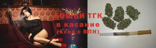 молекула духа Алексеевка
