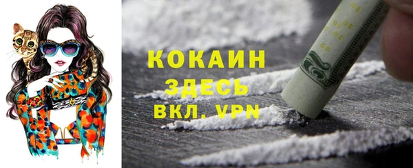 спайс Алексин