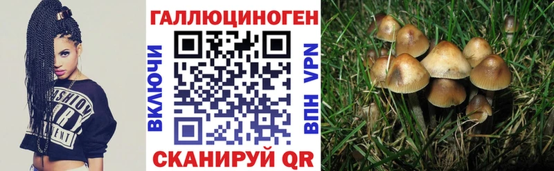 Псилоцибиновые грибы ЛСД  МЕГА онион  Боровск 